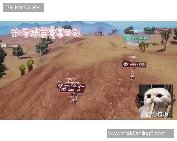 和平精英赛场上RNG逆袭之路的真实记录与精彩瞬间回顾 和平精英赛场上RNG逆袭之路的真实记录与精彩瞬间回顾