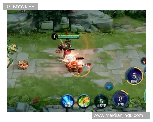 王者荣耀战术BLG的控制体系解析与实战应用探讨